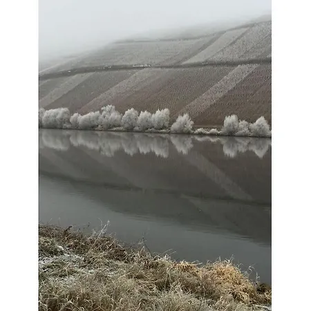 Sonnenlay Mulheim an der Mosel